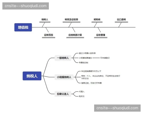 劳务流转税费自动结算 体育传播服务生态链合规性升级