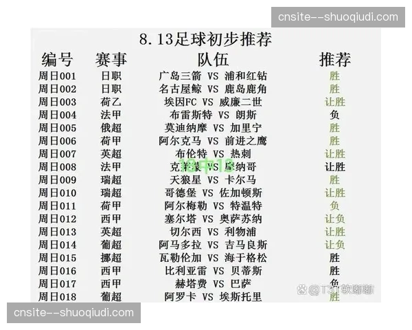 多特蒙德吉拉西28场13球 进攻端核心输出稳定